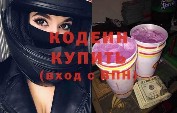 прущий лед Бородино
