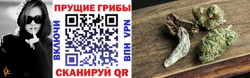 купить  сайты  Кизел  Псилоцибиновые грибы прущие грибы 